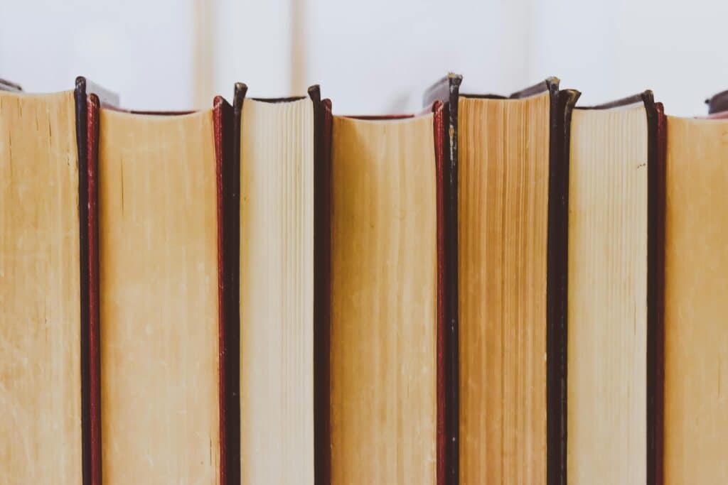 A row of the top sides of books laid down on their spines