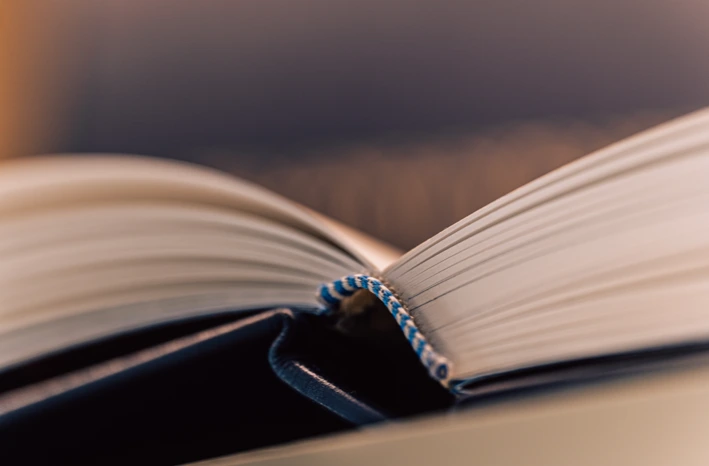 A book opened to lay flat revealing the spine and stitching.